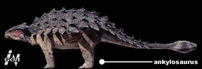 Ankylosaurus